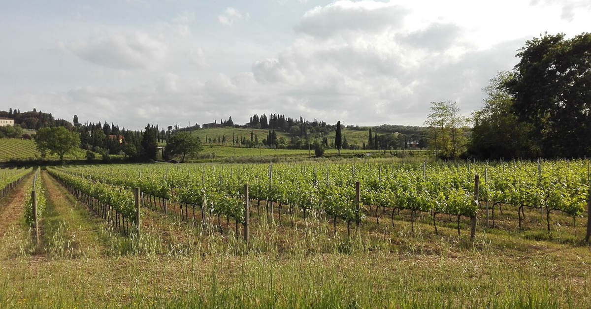 Z czego słynie Toskania? Te atrakcje musisz zobaczyć!